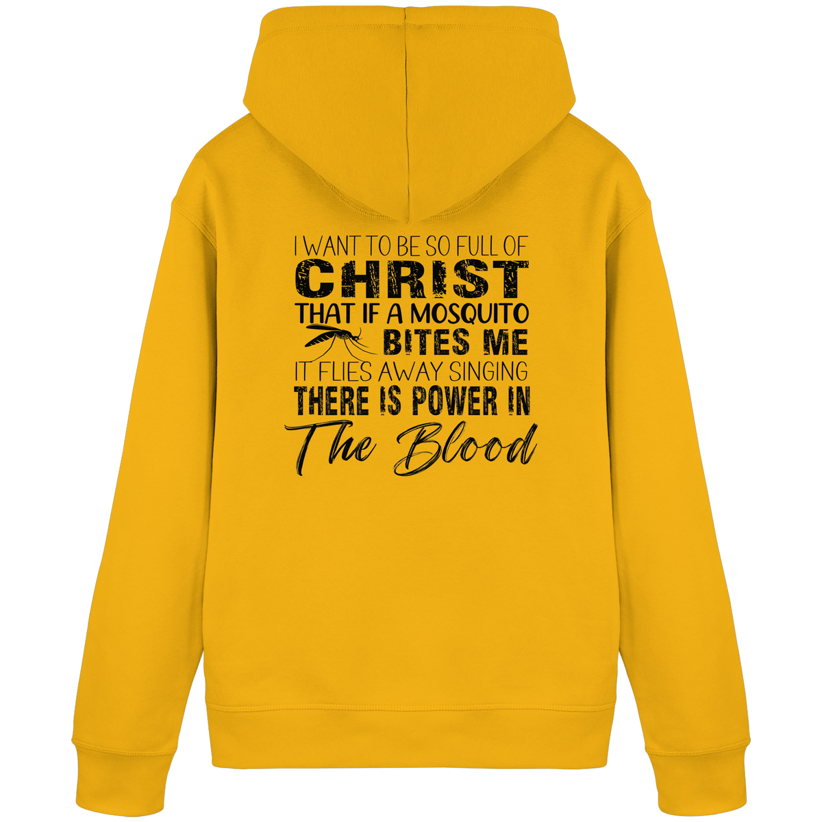 I Want to Be So Full of Christ – Mosquito | Christian Statement Print - Organic Basic Hoodie