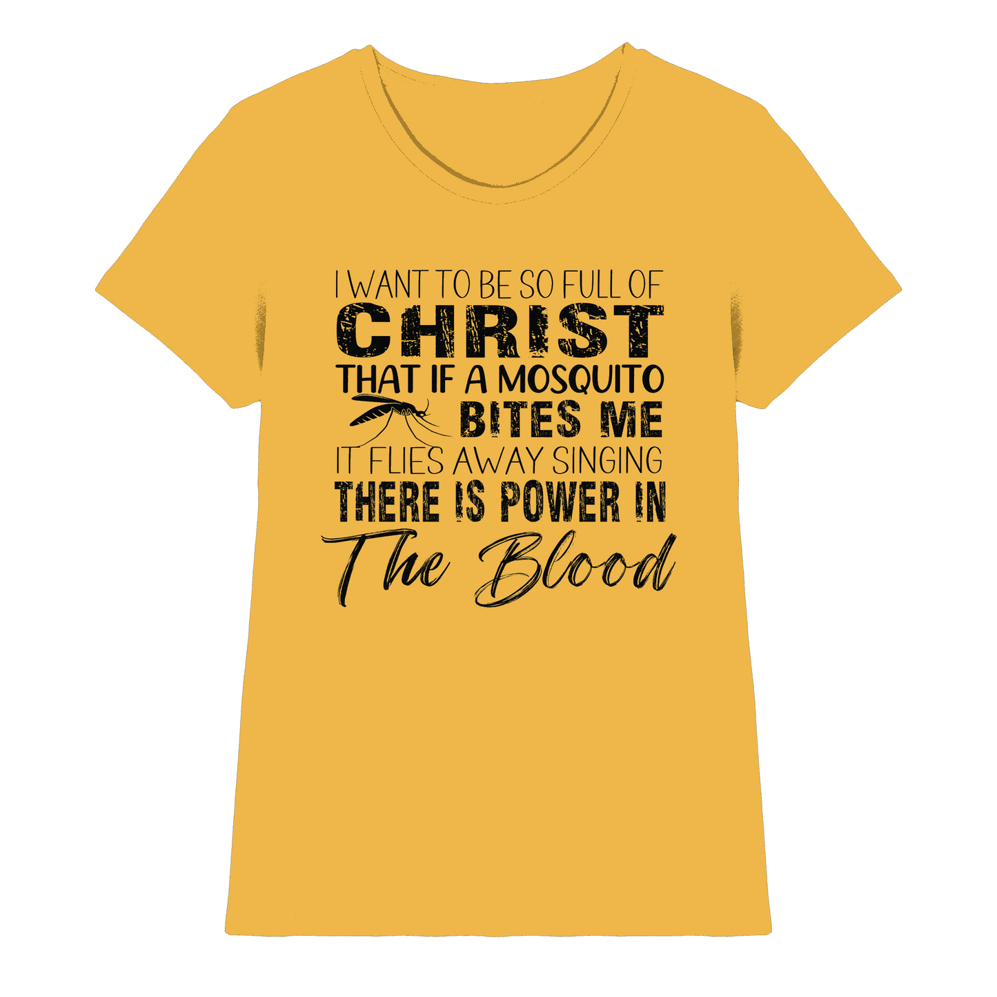 I Want to Be So Full of Christ – Mosquito | Christian Statement Print - Ladies Premium Shirt